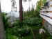 Veranda and green house